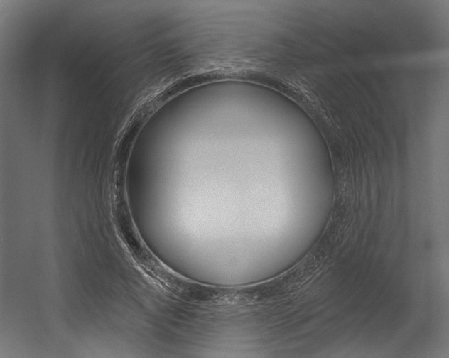 X0000054380736200507290856