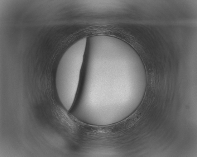 X0000054380737200507290856