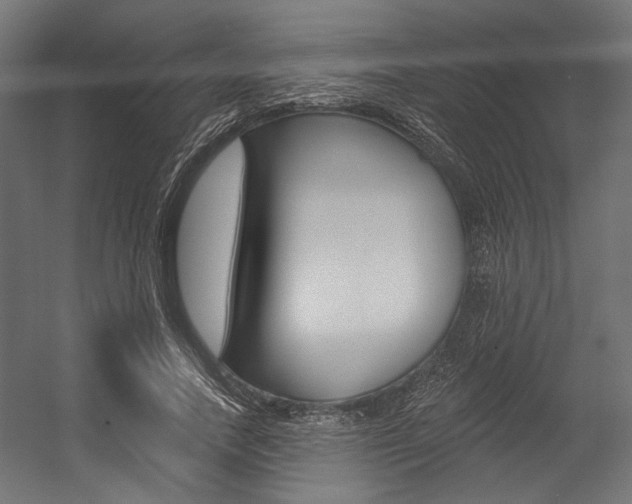 X0000054380738200507290856