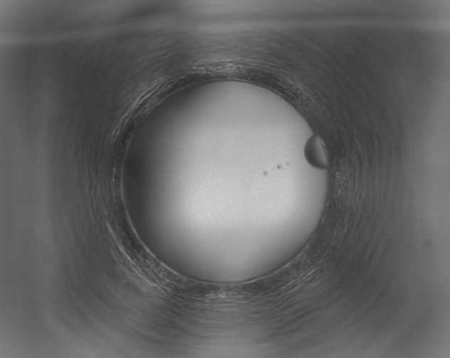 X0000054380739200507290856