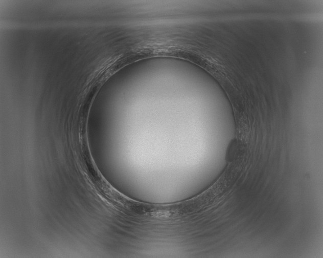 X0000054380740200507290856