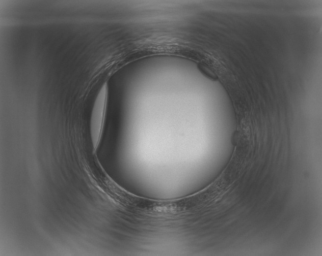 X0000054380744200507290856