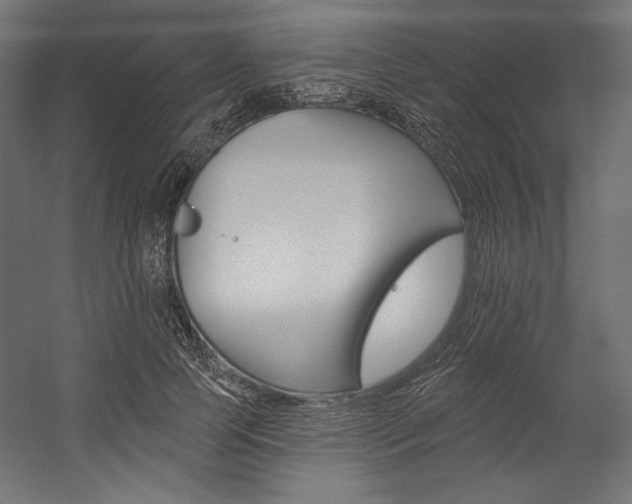 X0000054380745200507290856