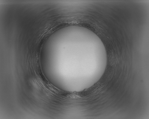 X0000054380747200507290856