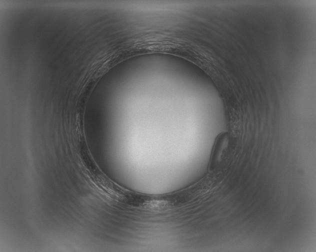 X0000054380748200507290856