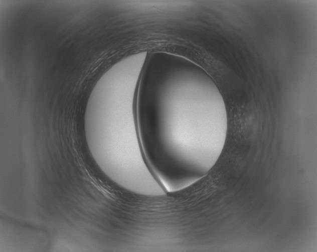 X0000054380750200507290856