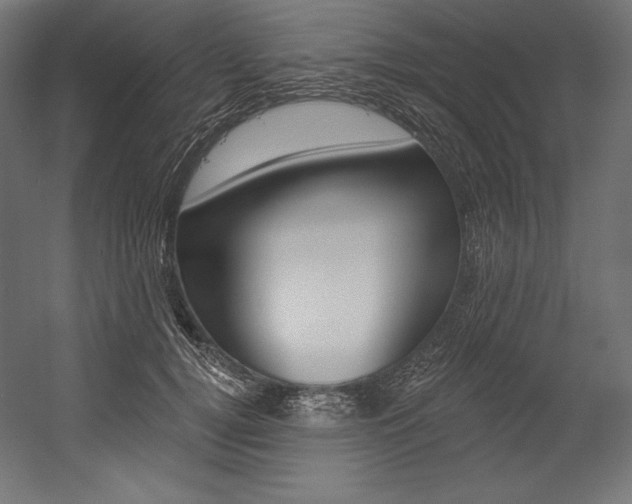 X0000054380752200507290856