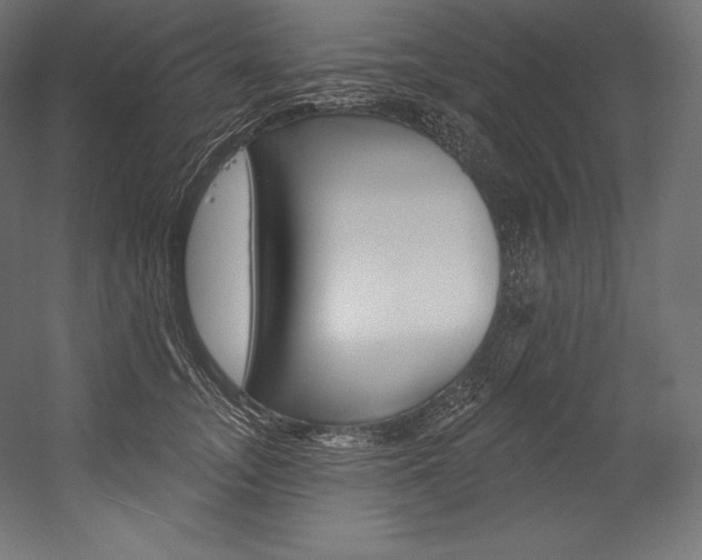 X0000054380755200507290856