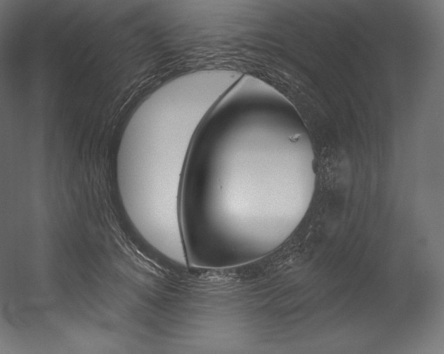 X0000054380756200507290856