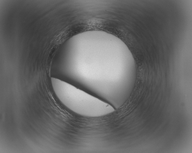 X0000054380757200507290856
