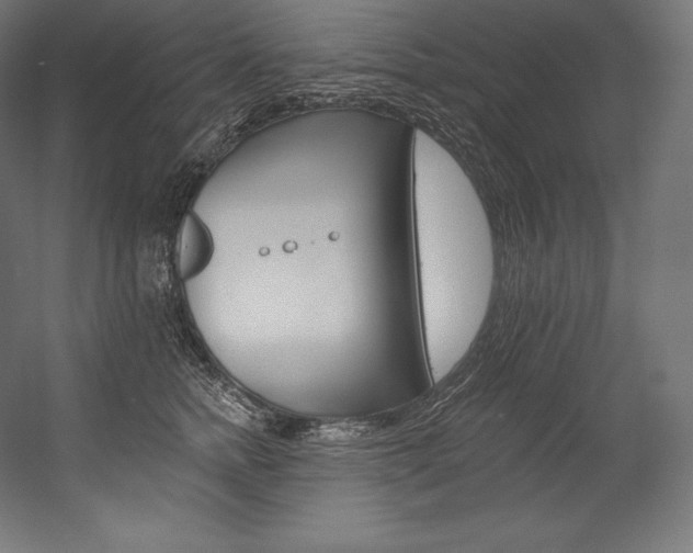 X0000054380758200507290857