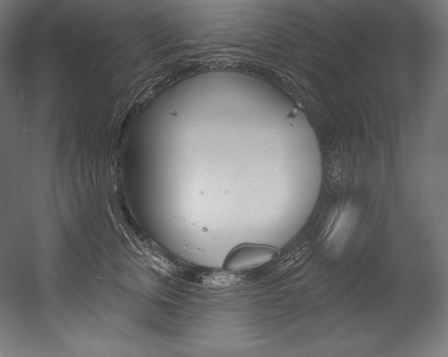 X0000054380759200507290857