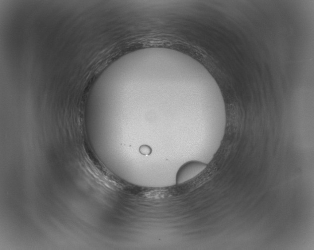 X0000054380761200507290857
