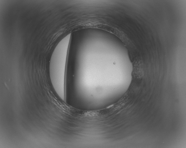 X0000054380762200507290857