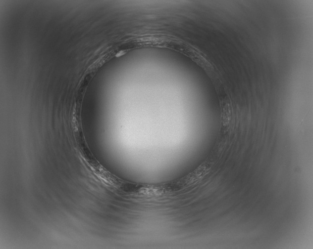 X0000054380764200507290857