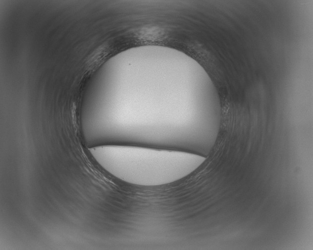 X0000054380765200507290857