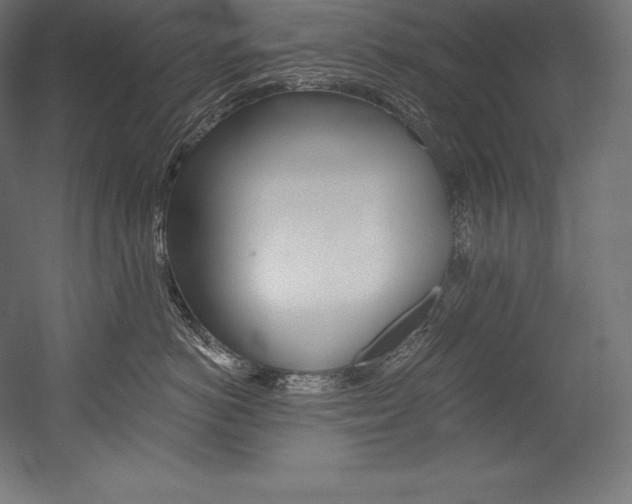 X0000054380766200507290857
