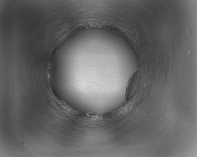 X0000054380768200507290857