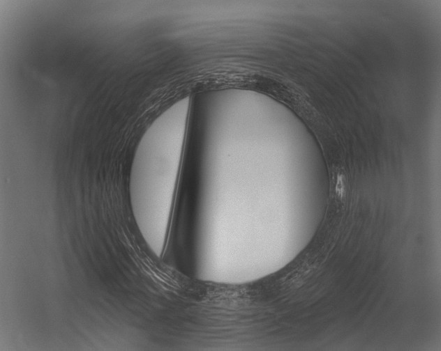 X0000054380771200507290856