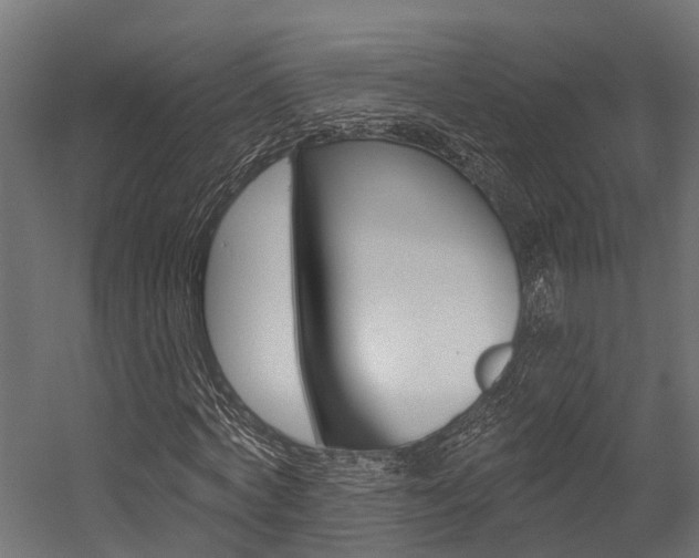 X0000054380772200507290856