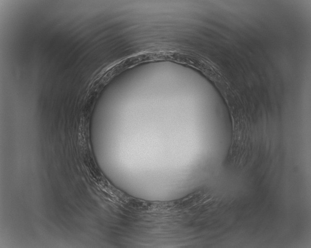 X0000054380773200507290856