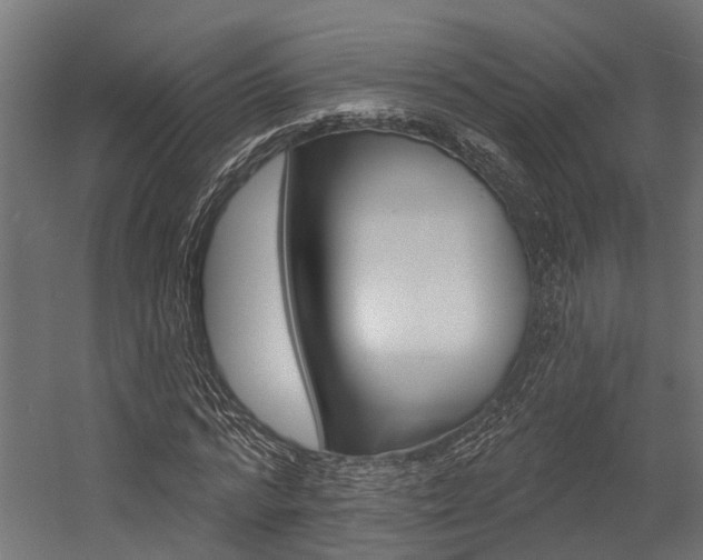 X0000054380776200507290856