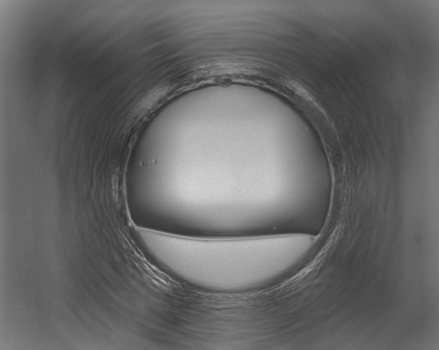 X0000054380777200507290856