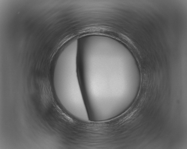 X0000054380778200507290856