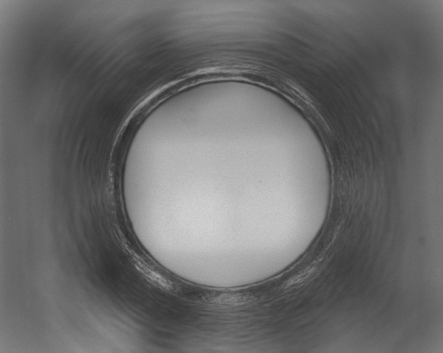 X0000054380779200507290856