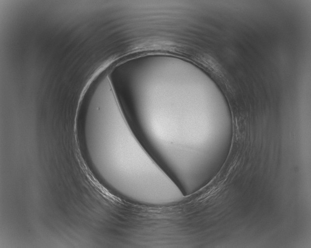 X0000054380780200507290856