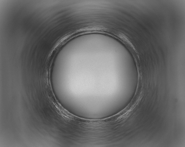 X0000054380781200507290856