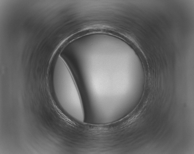 X0000054380783200507290856