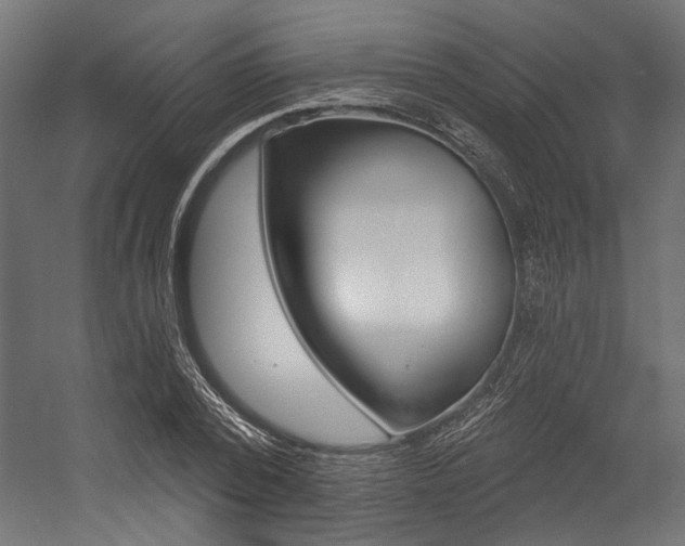 X0000054380784200507290856