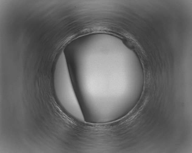 X0000054380785200507290856