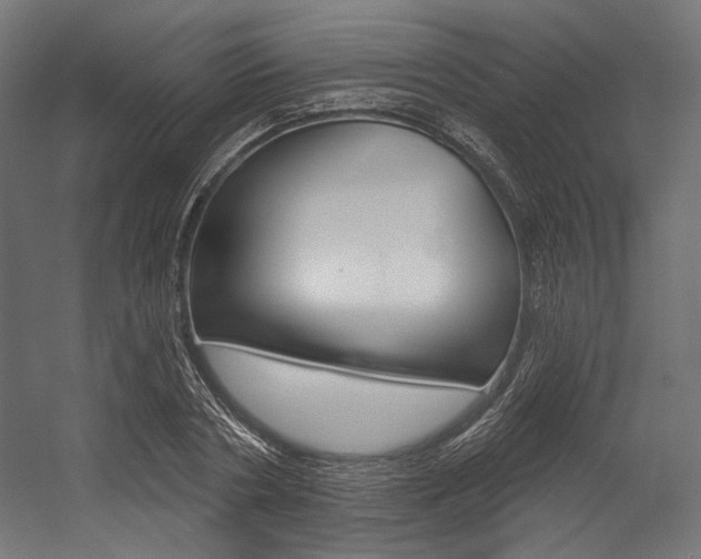 X0000054380786200507290856