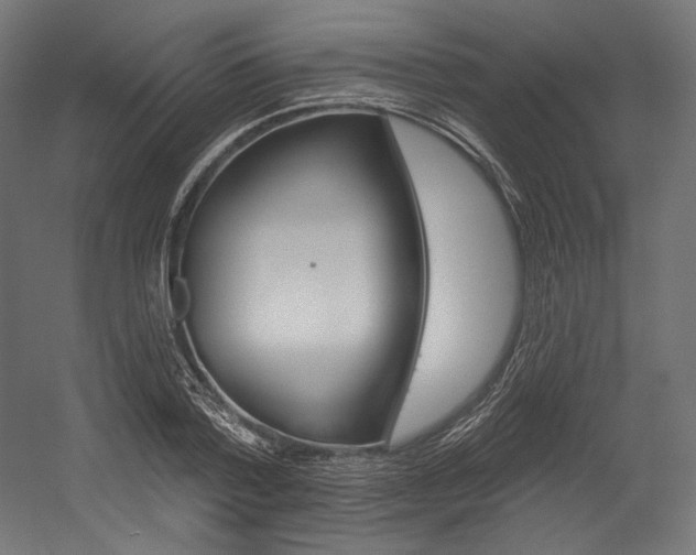 X0000054380788200507290856