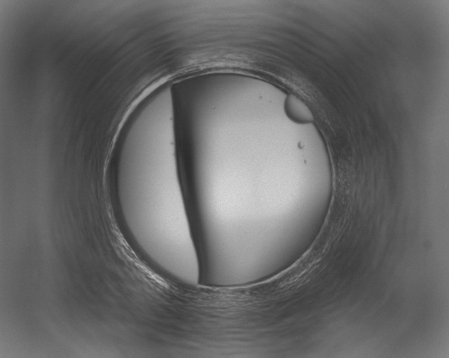 X0000054380790200507290856
