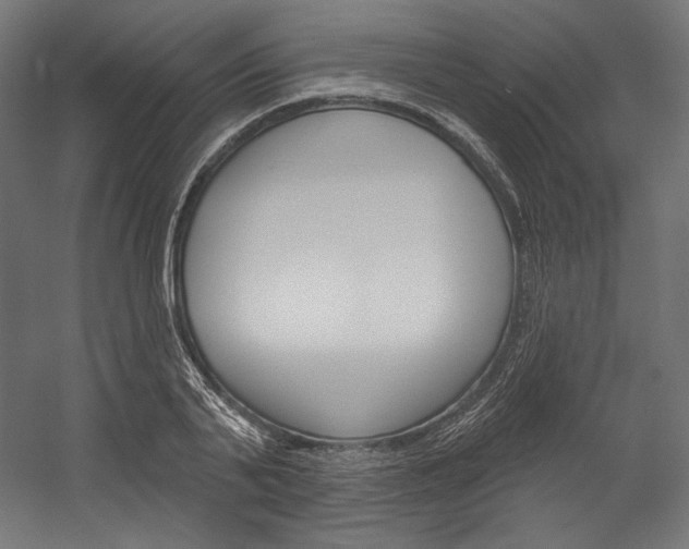 X0000054380791200507290855