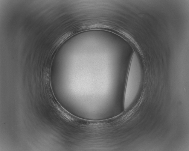 X0000054380793200507290855
