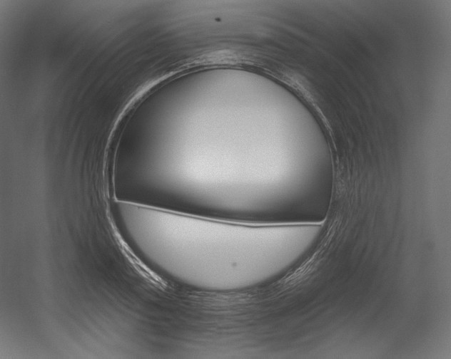 X0000054380795200507290855