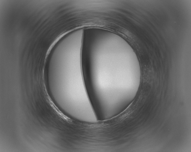 X0000054380796200507290855