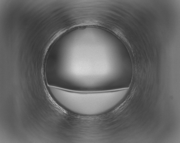 X0000054380797200507290855