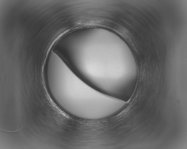 X0000054380798200507290855