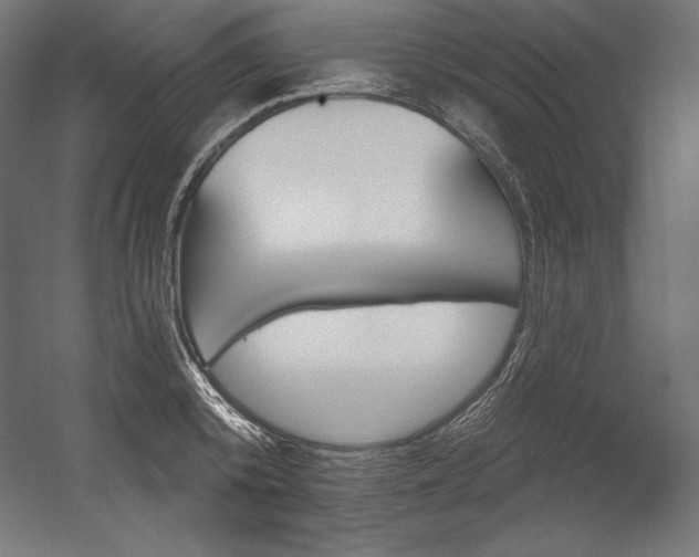 X0000054380800200507290855