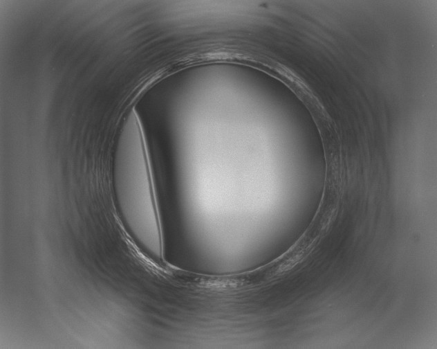 X0000054380801200507290855