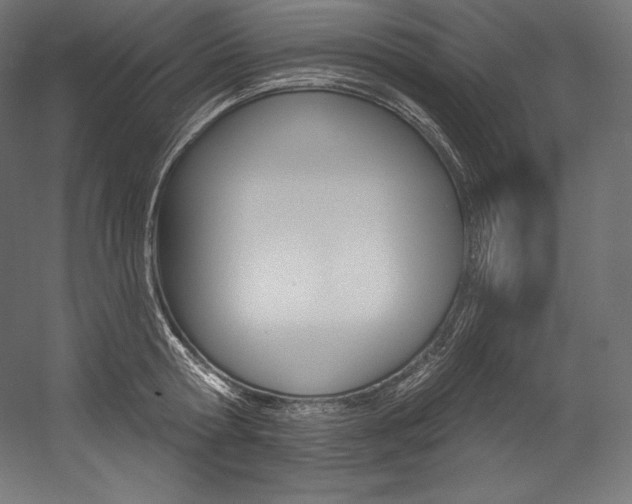 X0000054380802200507290855