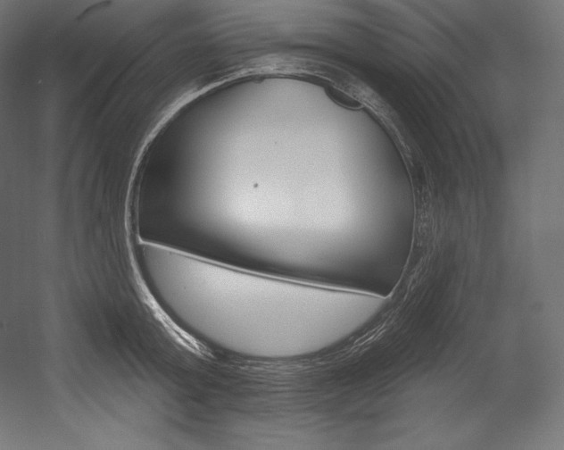 X0000054380803200507290855