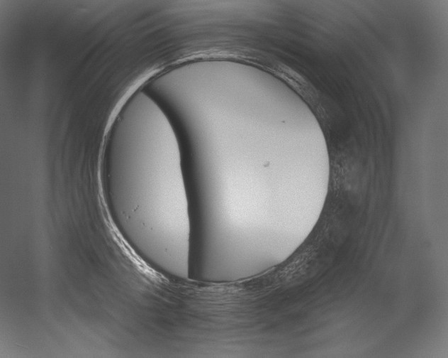 X0000054380804200507290855