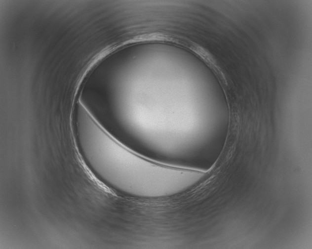 X0000054380805200507290855