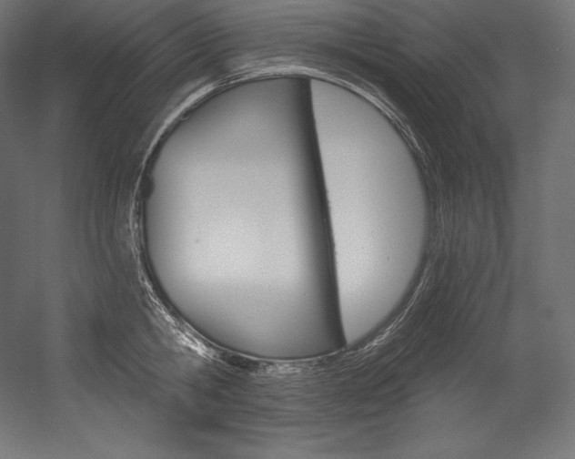 X0000054380806200507290855